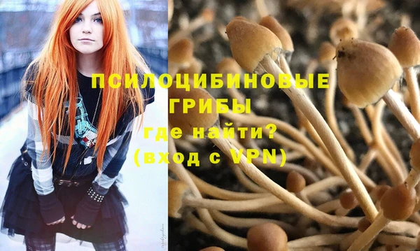 героин Алексин
