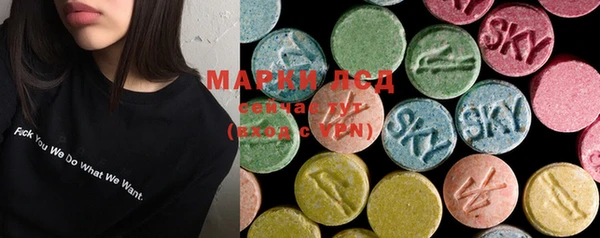 ECSTASY Абаза