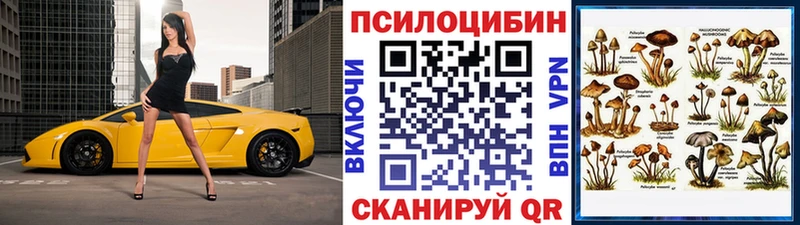 MEGA зеркало  Циолковский  Галлюциногенные грибы Magic Shrooms 